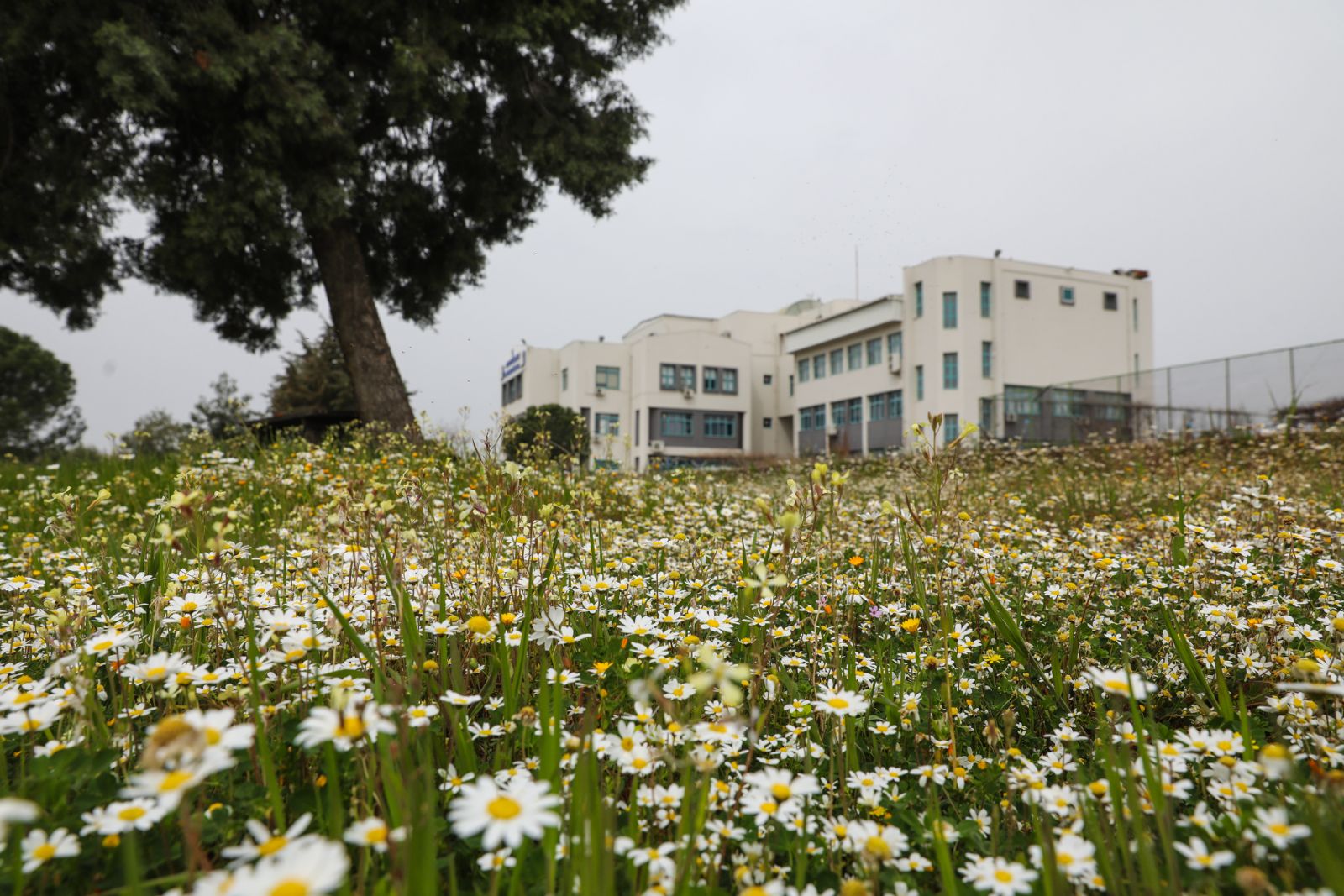 DEÜ'DEN YEŞİL BAŞARI: KARBON AYAK İZİ EN DÜŞÜK ÜNİVERSİTE